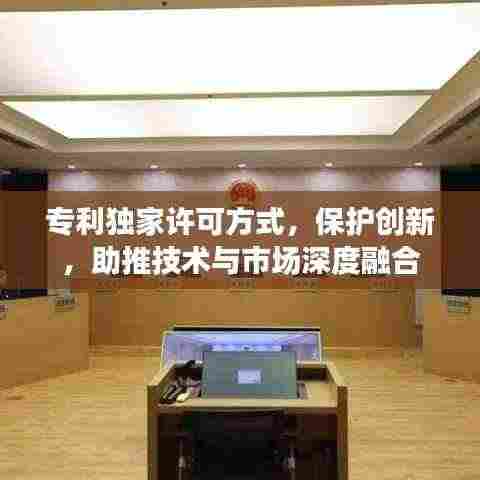 专利独家许可方式,保护创新,助推技术与市场深度融合
