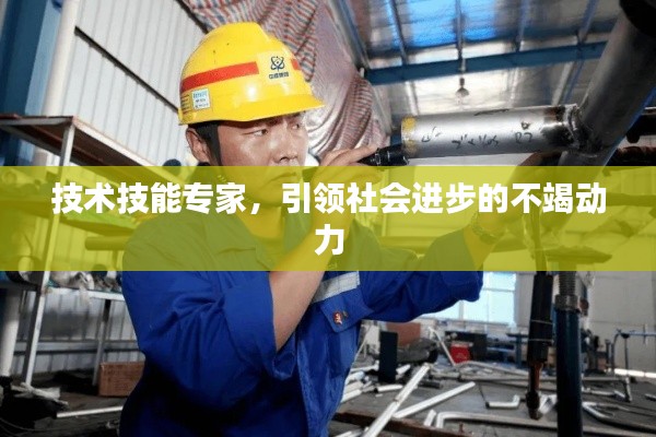 技术技能专家,引领社会进步的不竭动力