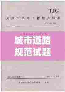 城市道路规范试题解析,洞悉考点,提升应试能力