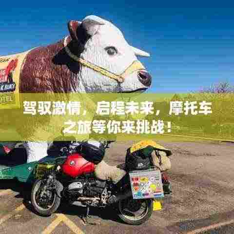 沉厚寡言 第3页