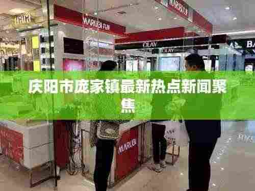 庆阳市庞家镇最新热点新闻聚焦