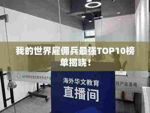 我的世界雇佣兵最强TOP10榜单揭晓！