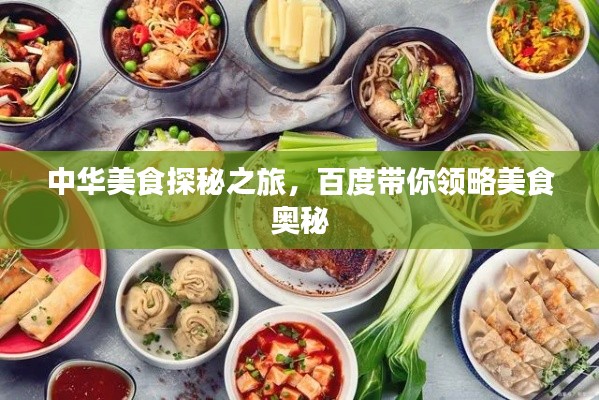 中华美食探秘之旅，百度带你领略美食奥秘