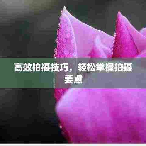 高效拍摄技巧，轻松掌握拍摄要点