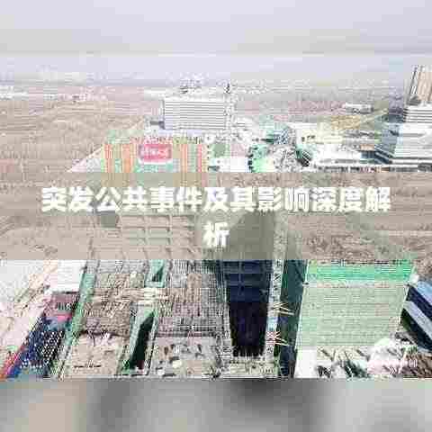 突发公共事件及其影响深度解析