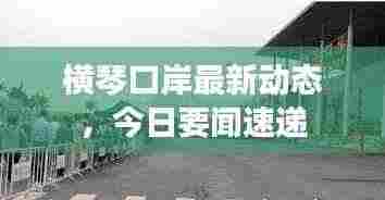 横琴口岸最新动态，今日要闻速递