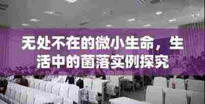无处不在的微小生命，生活中的菌落实例探究
