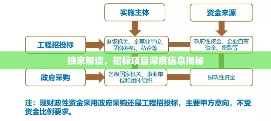 独家解读,招标项目深度信息揭秘