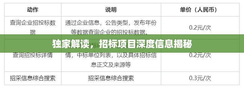 独家解读，招标项目深度信息揭秘