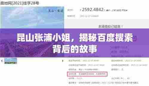 昆山张浦小姐,揭秘百度搜索背后的故事