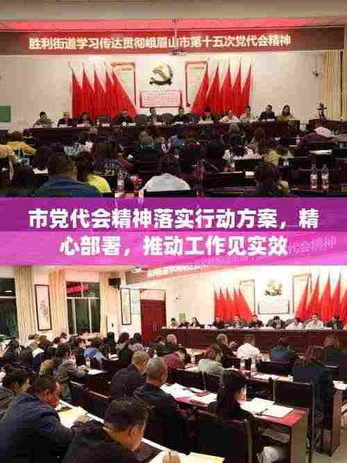 市党代会精神落实行动方案,精心部署,推动工作见实效