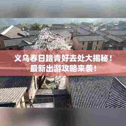 义乌春日踏青好去处大揭秘!最新出游攻略来袭!