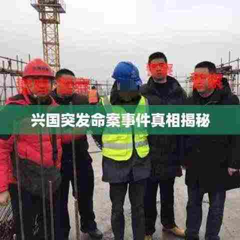 兴国突发命案事件真相揭秘