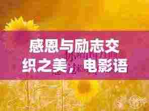 感恩与励志交织之美,电影语录启迪心灵
