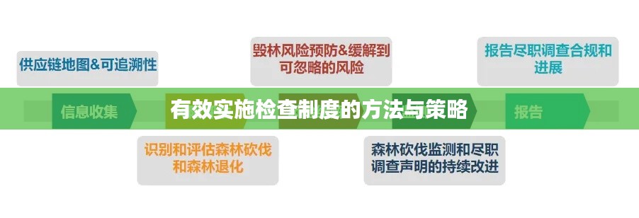 有效实施检查制度的方法与策略