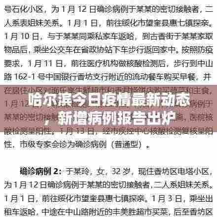 哈尔滨今日疫情最新动态,新增病例报告出炉