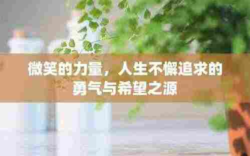 微笑的力量,人生不懈追求的勇气与希望之源