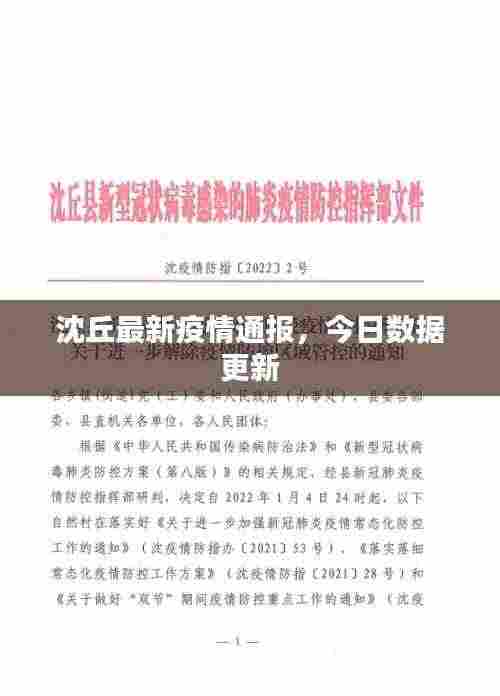 沈丘最新疫情通报,今日数据更新