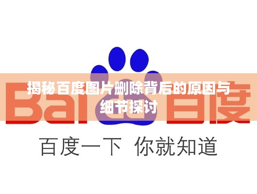 揭秘百度图片删除背后的原因与细节探讨