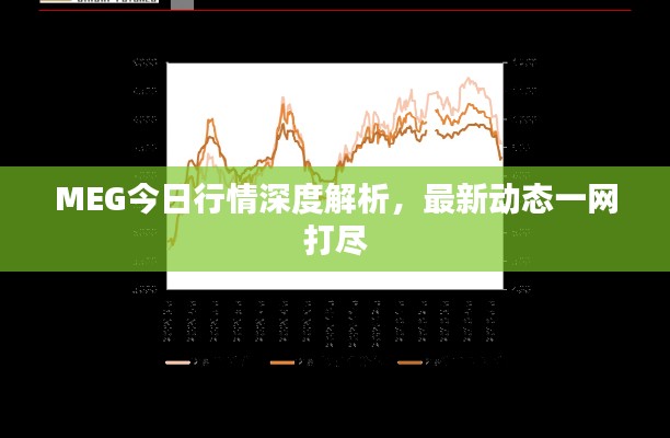 MEG今日行情深度解析，最新动态一网打尽