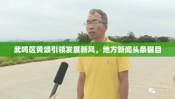 武鸣区黄颂引领发展新风，地方新闻头条瞩目
