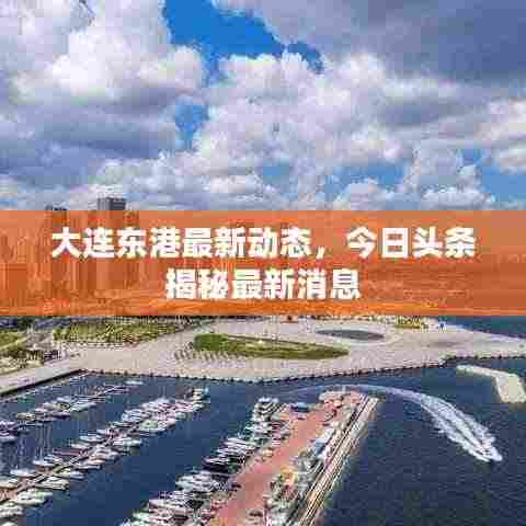 大连东港最新动态，今日头条揭秘最新消息