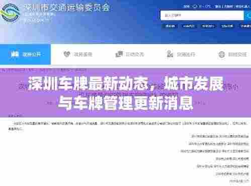 深圳车牌最新动态，城市发展与车牌管理更新消息