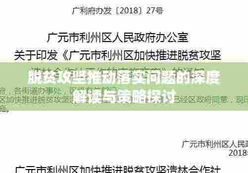 脱贫攻坚推动落实问题的深度解读与策略探讨