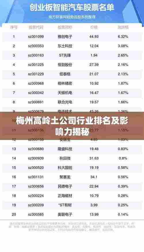 梅州高岭土公司行业排名及影响力揭秘