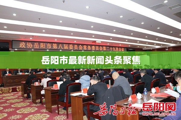 岳阳市最新新闻头条聚焦