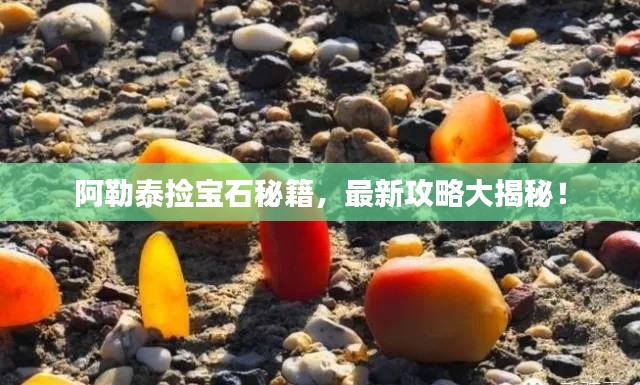阿勒泰捡宝石秘籍,最新攻略大揭秘!
