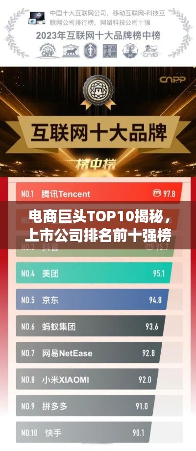 电商巨头TOP10揭秘，上市公司排名前十强榜单重磅出炉！