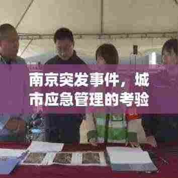 南京突发事件，城市应急管理的考验与应对策略