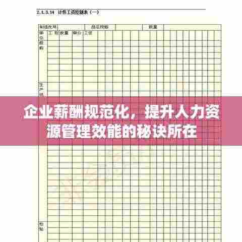 企业薪酬规范化，提升人力资源管理效能的秘诀所在