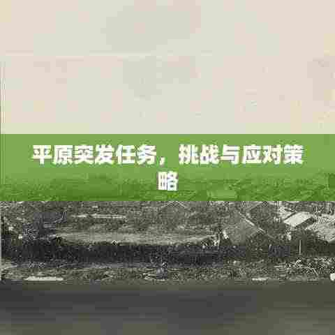 平原突发任务,挑战与应对策略