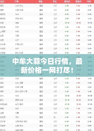 中牟大蒜今日行情,最新价格一网打尽!