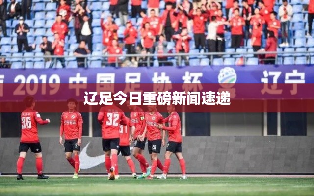 辽足今日重磅新闻速递