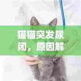 千里迢迢 第2页